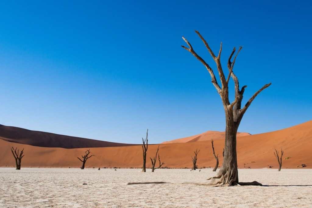 Dead Vlei, Namibia