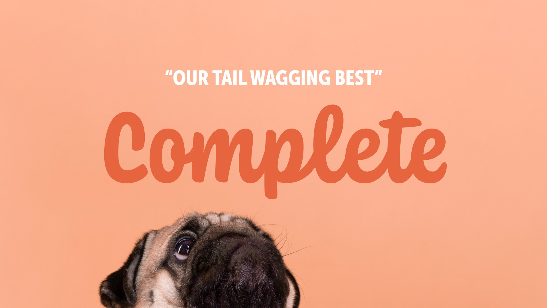 The K9 Kitchen complete