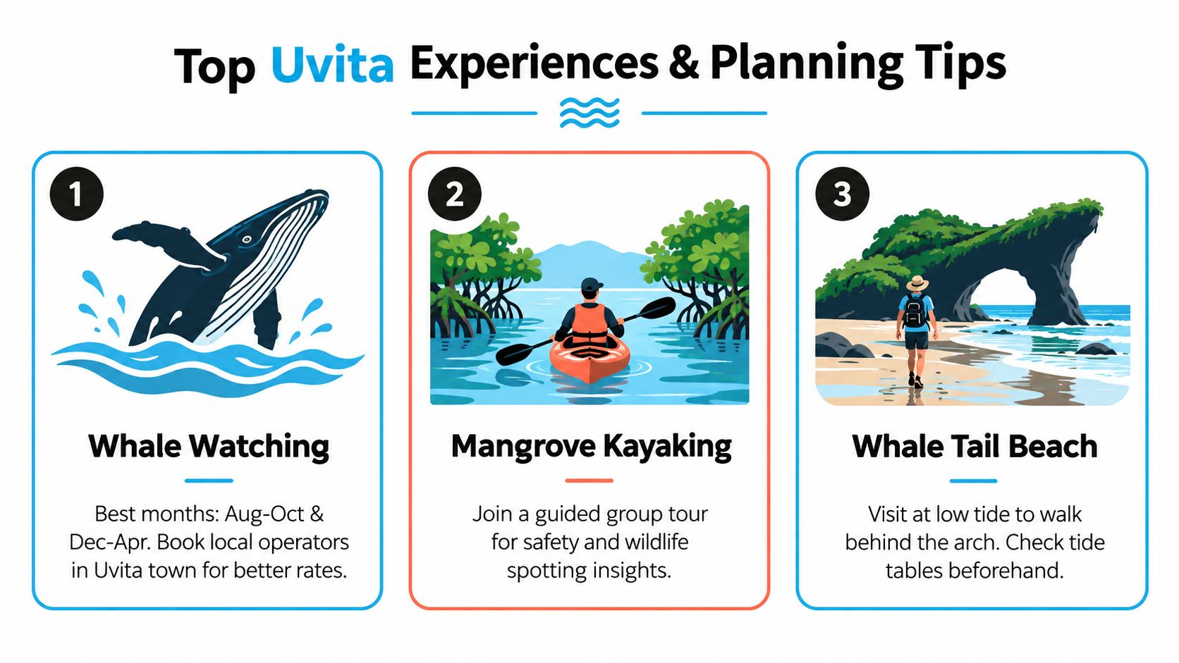 A travel infographic detailing top experiences in Uvita, Costa Rica, including whale watching, kayaking, and visiting the beach.