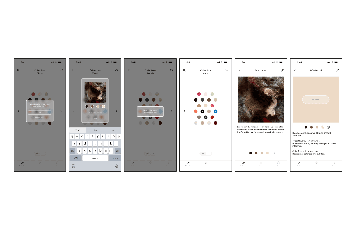 Companion-app collection and naming flow