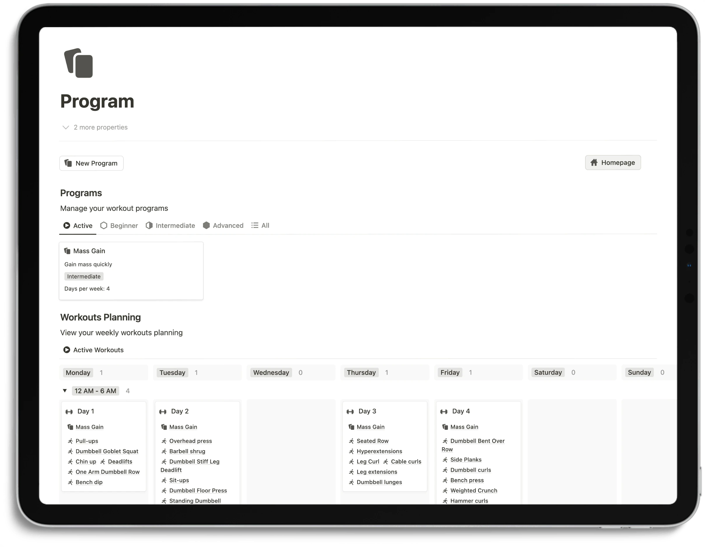 Notion Optimal Workout System - Program