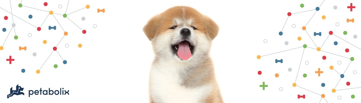 Akita image