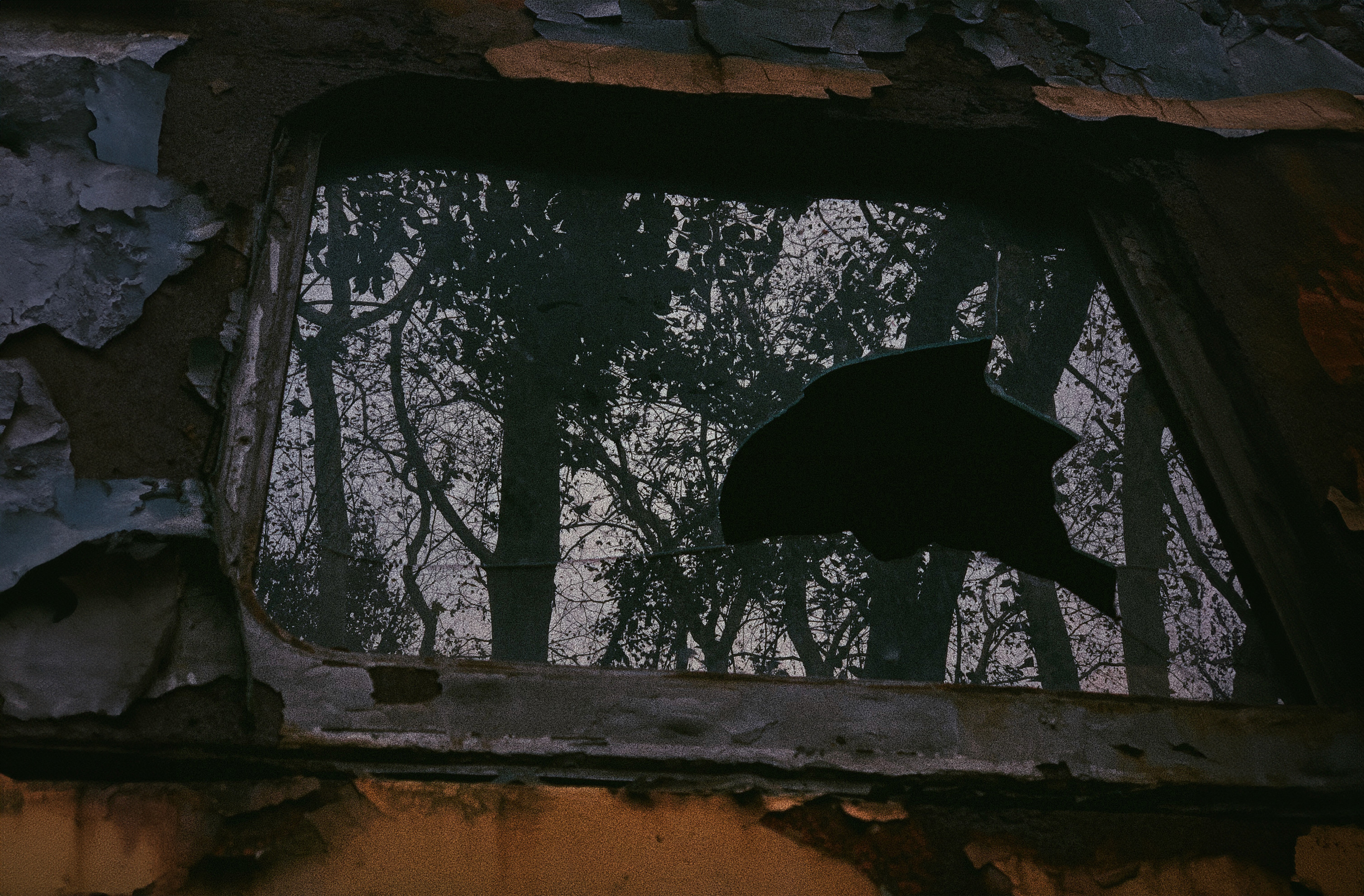 Women On Neon Background