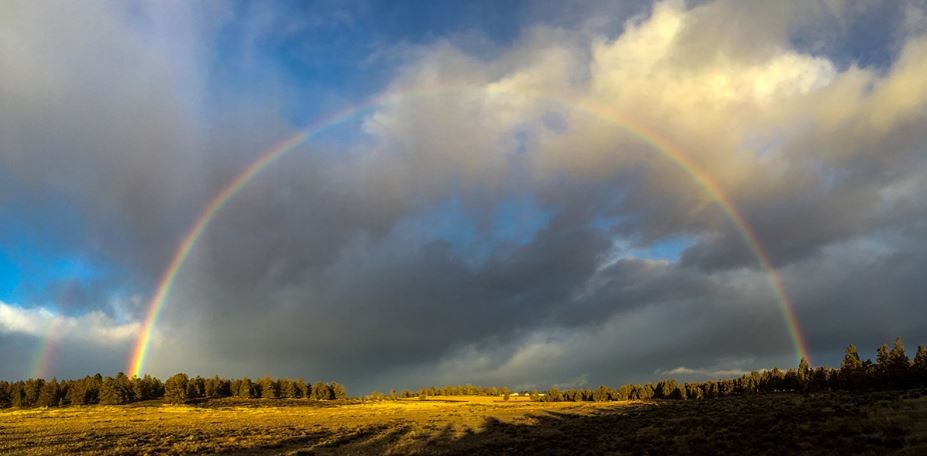 Rainbow have seven colors 1