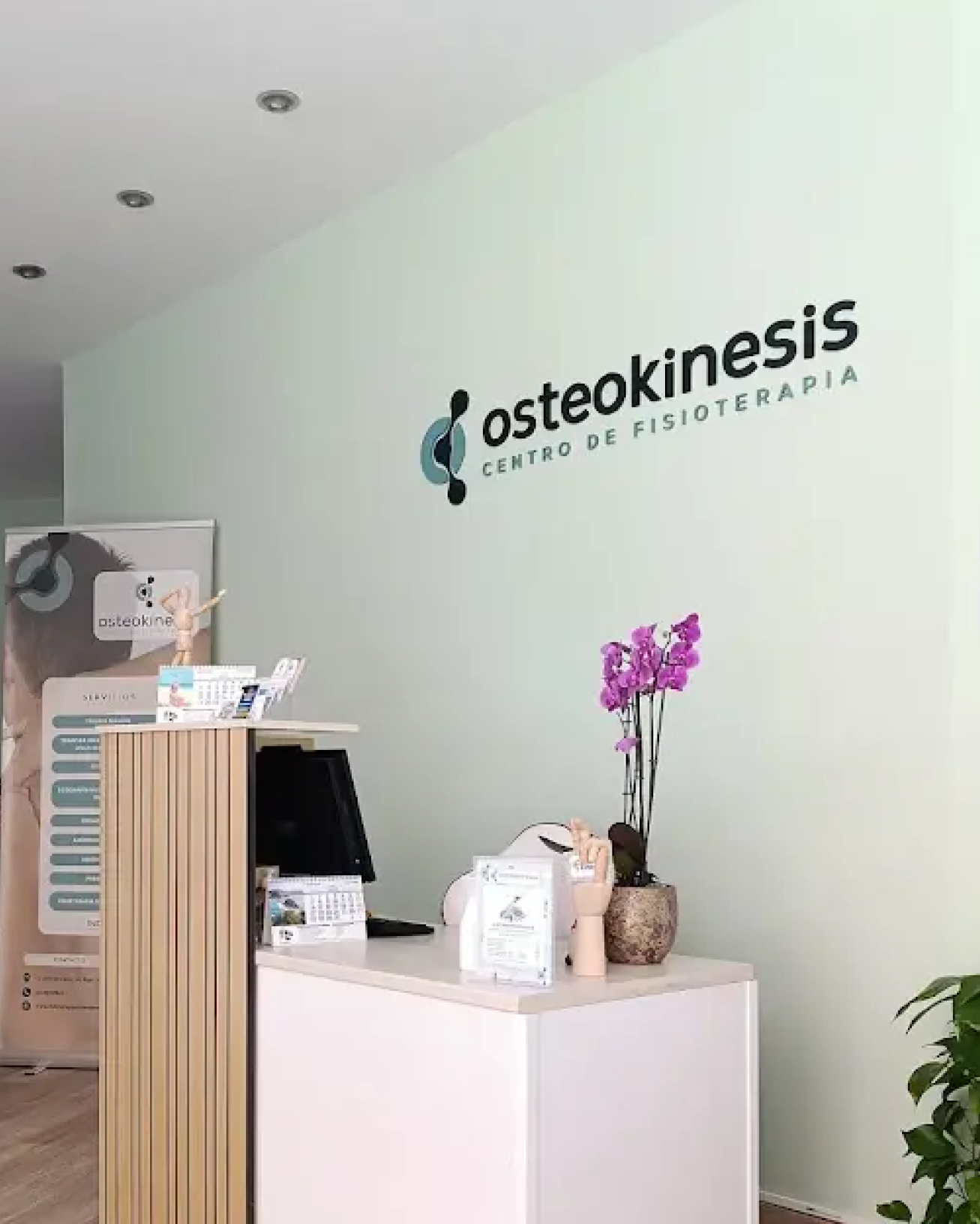 Billber Osteokinesis Branding