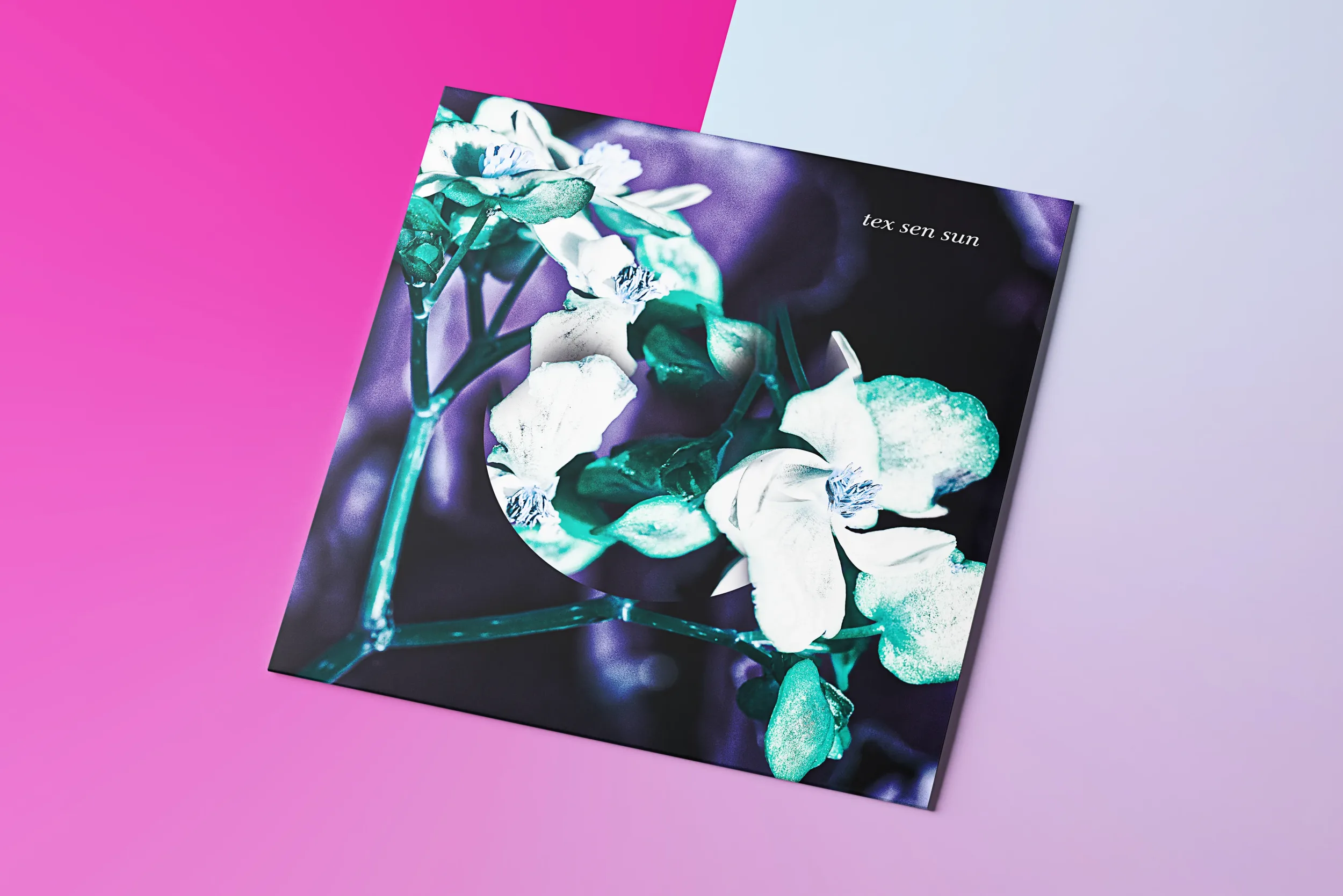 Design de vinyle de musique LP psychédelique mêlant graphisme surréaliste et photographie esthétique