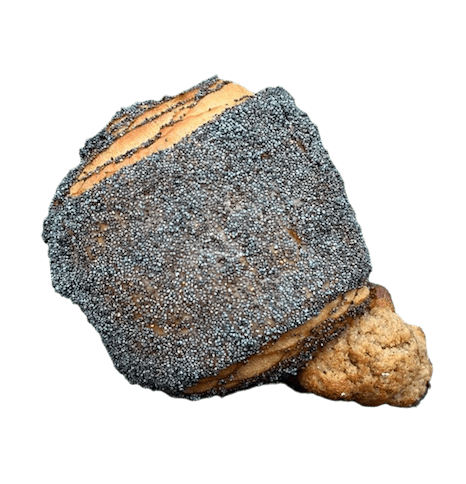 Tebirkes from Boulangerie MieMie in Paris.