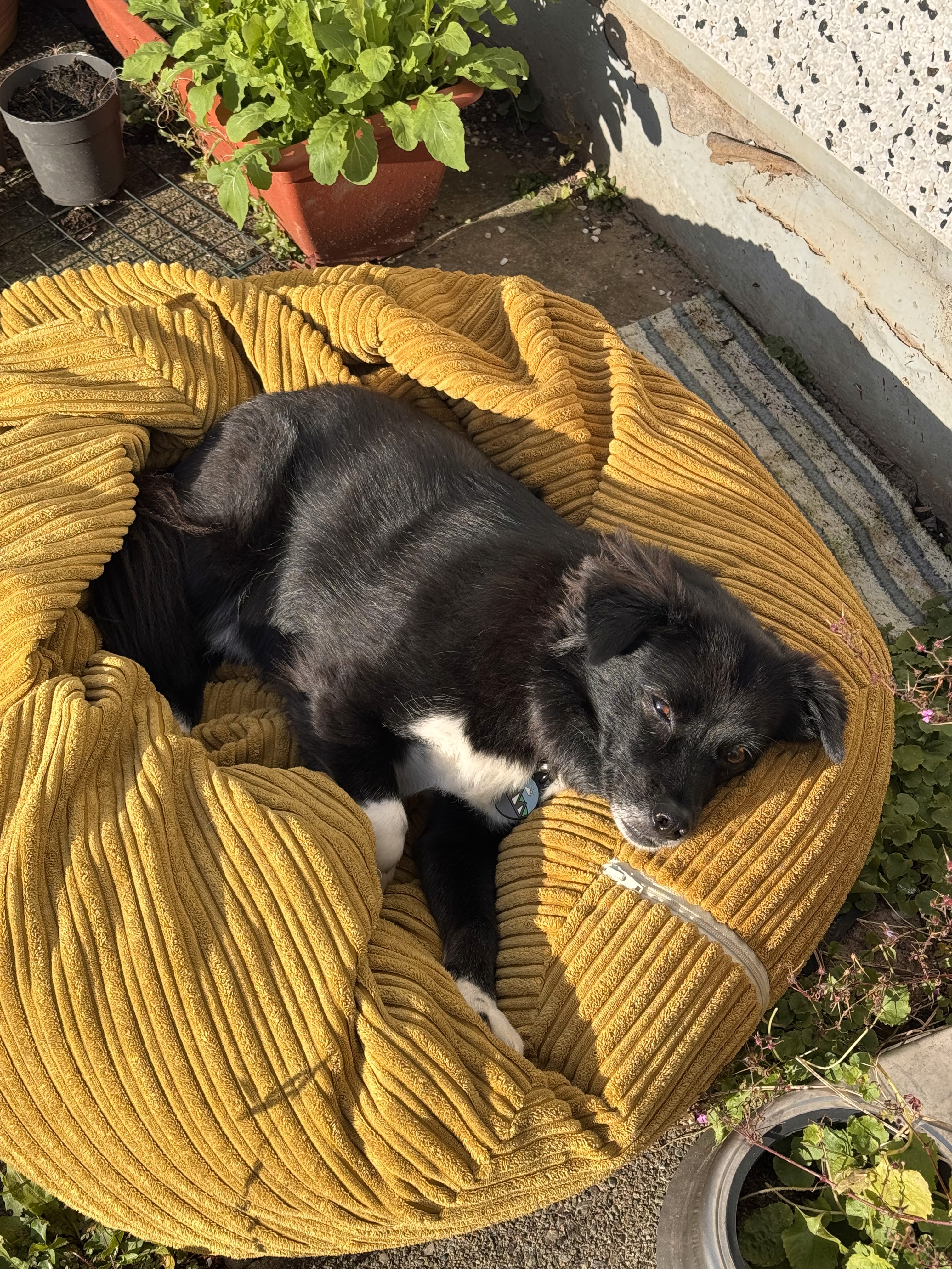 Two mockups of the NHBC site, with the Professionals home page on the left and the homeowners homepage on the right.