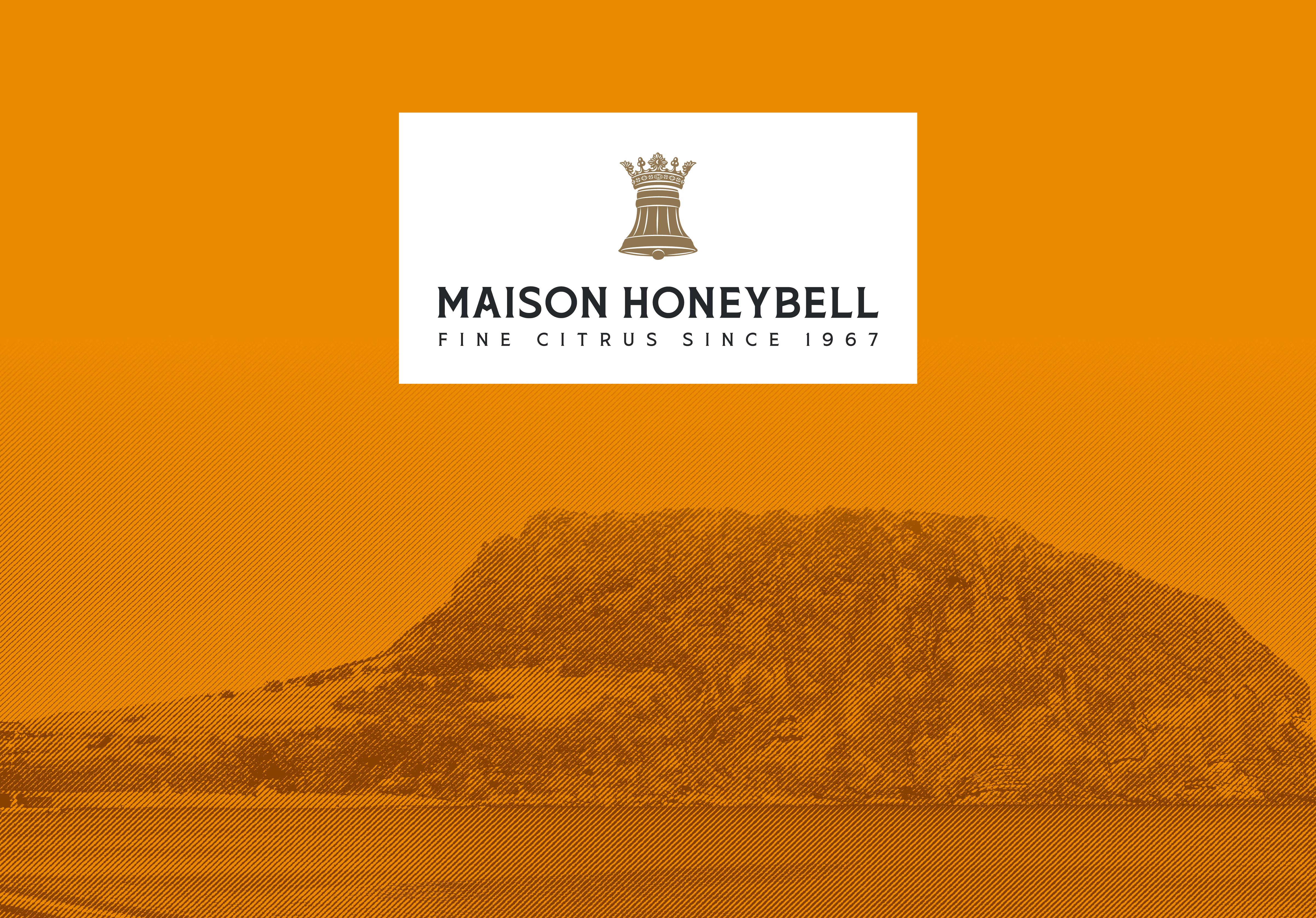 ordinal이 진행한 MAISON HONEYBELL BI, 브랜딩 & 패키지 디자인