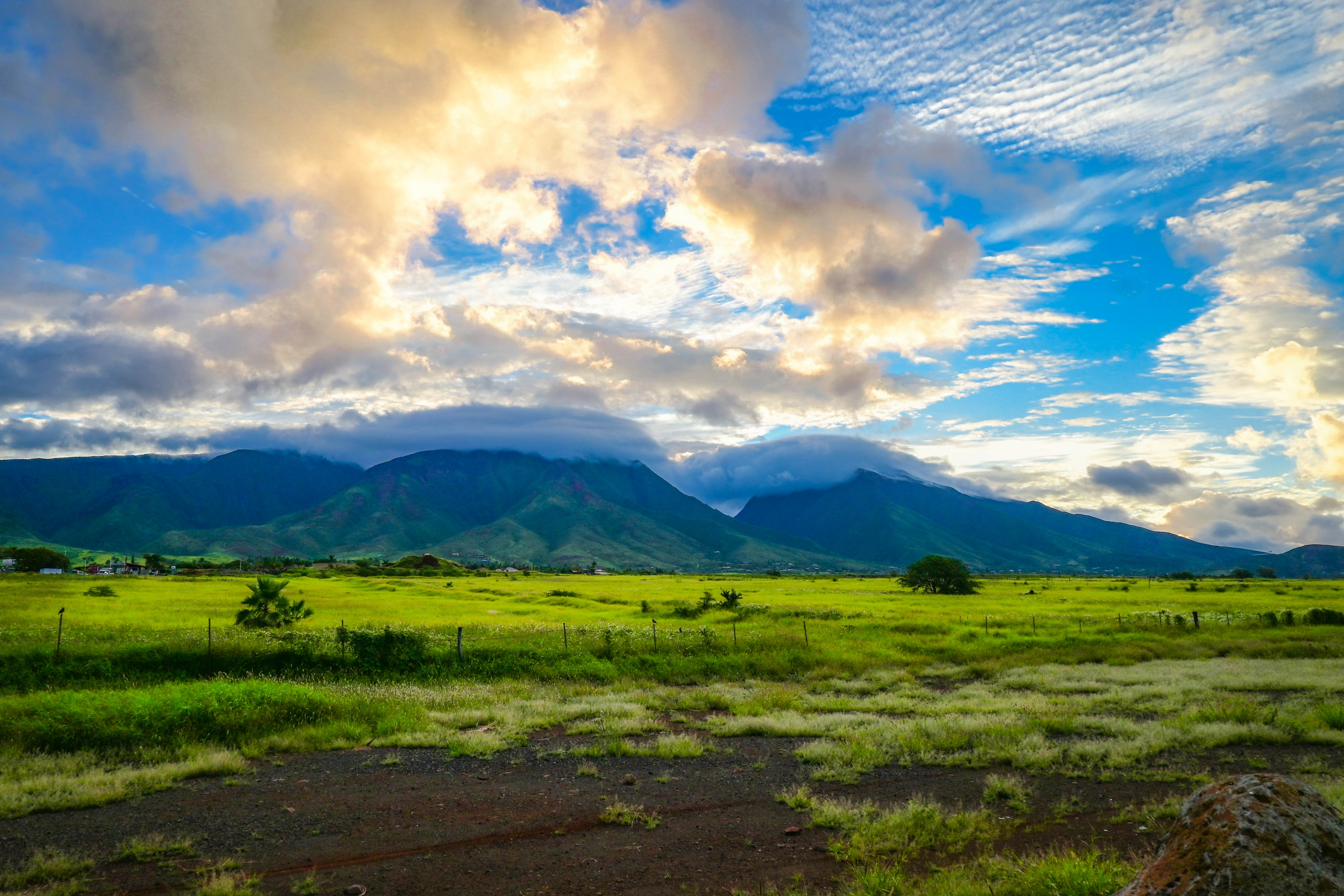 Maui Sunrise