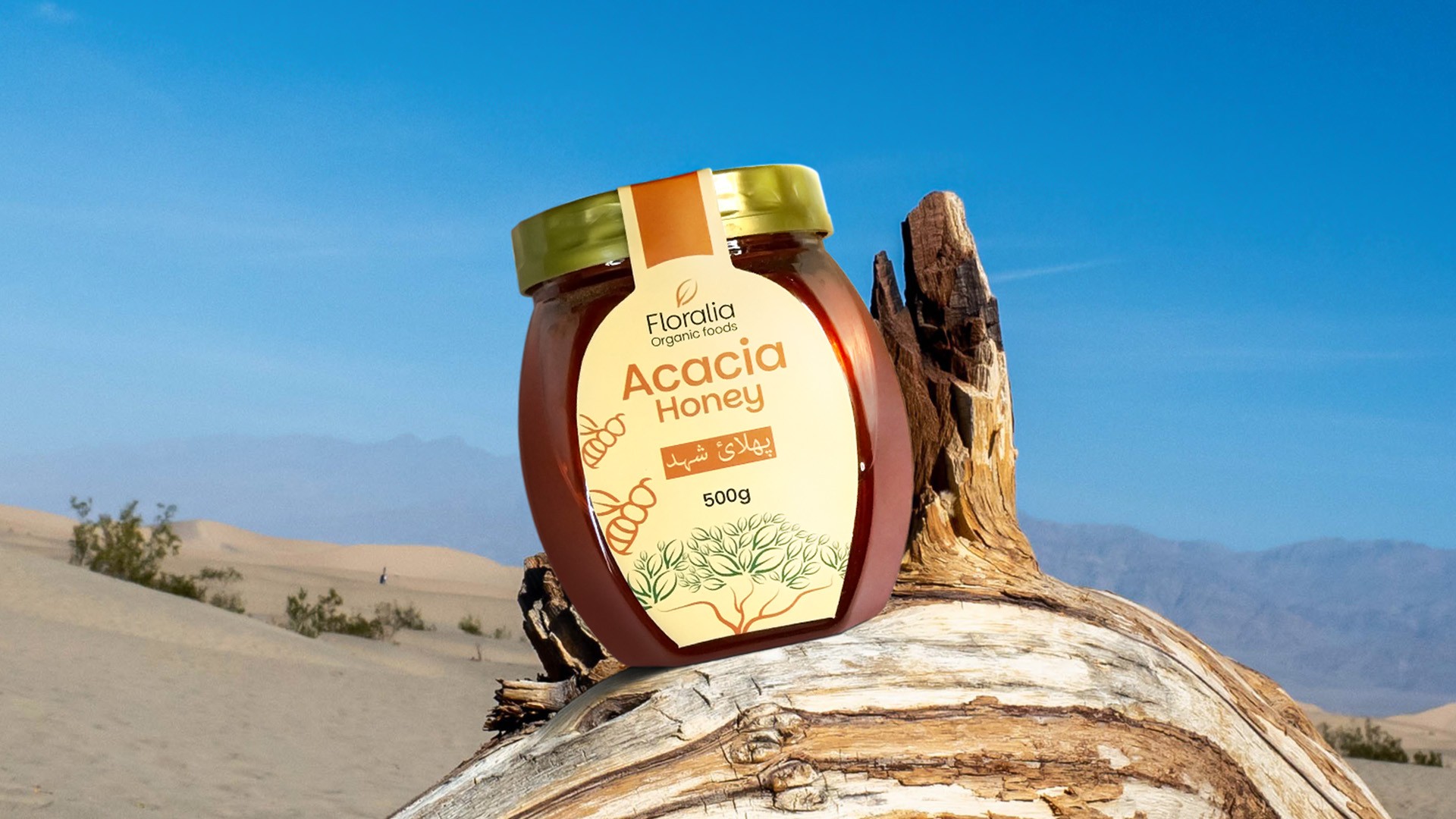 A profile picture of this person