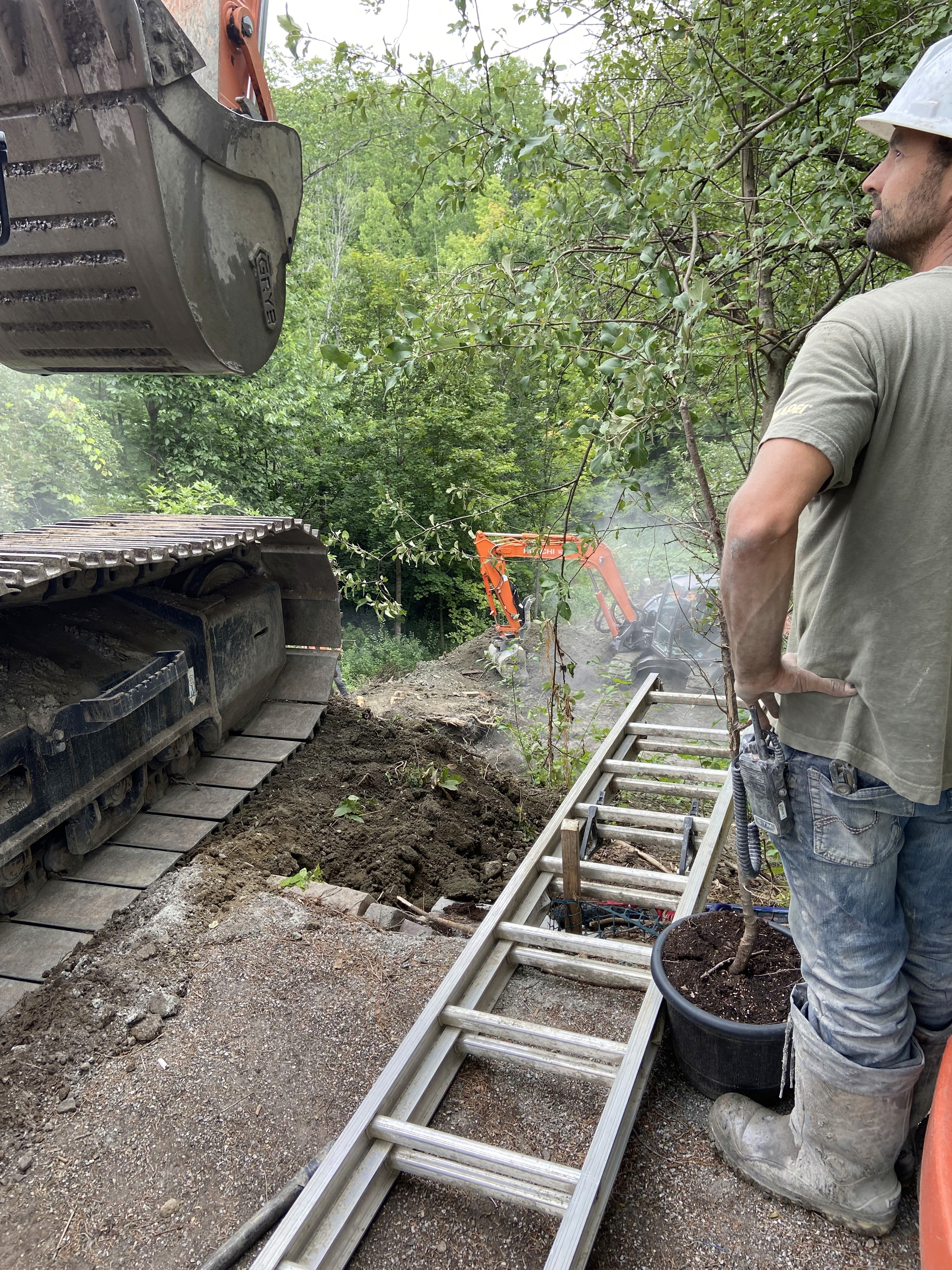 Planting works