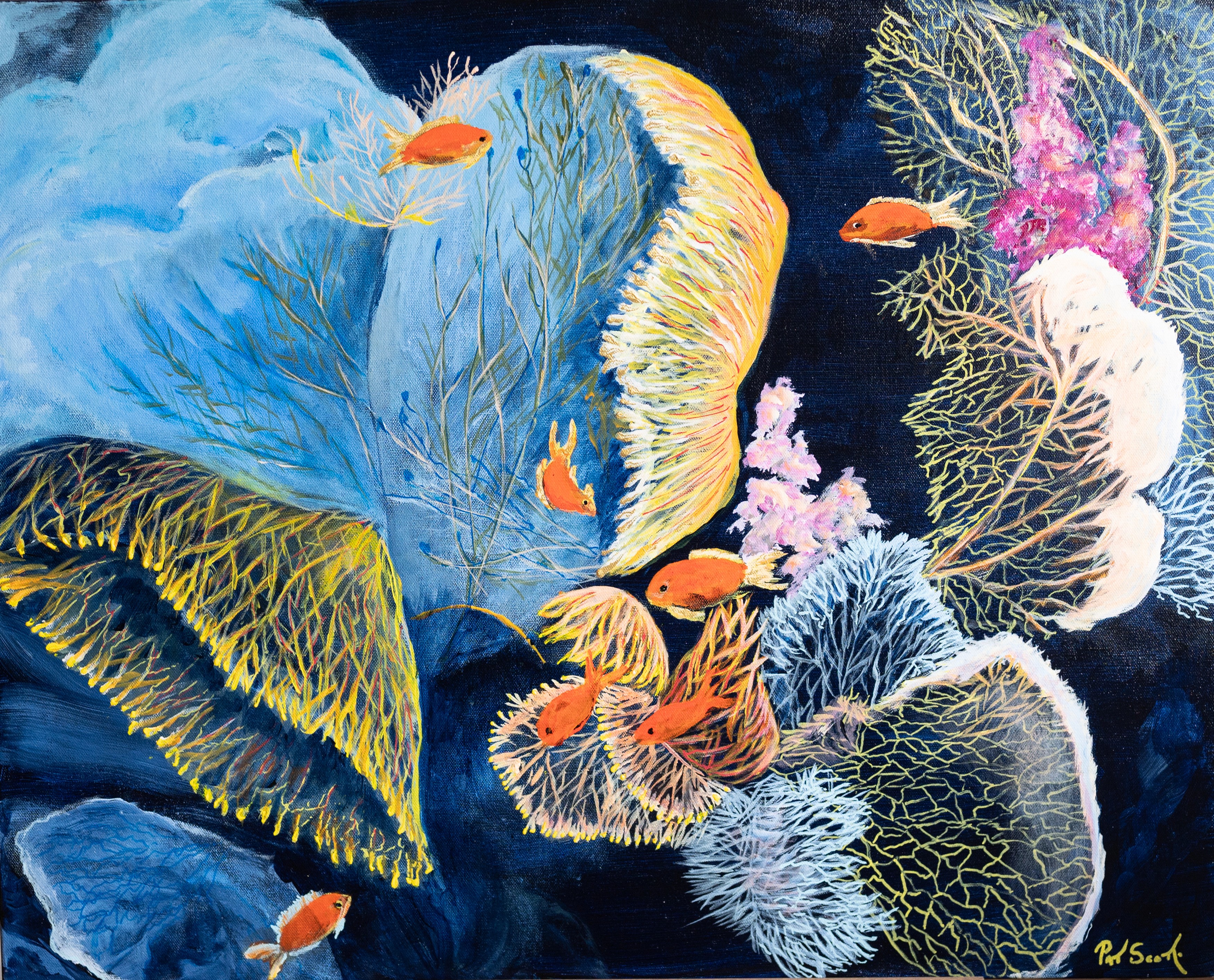 An underwater scene full of vibrant coral is the backdrop for a school of orange fish.