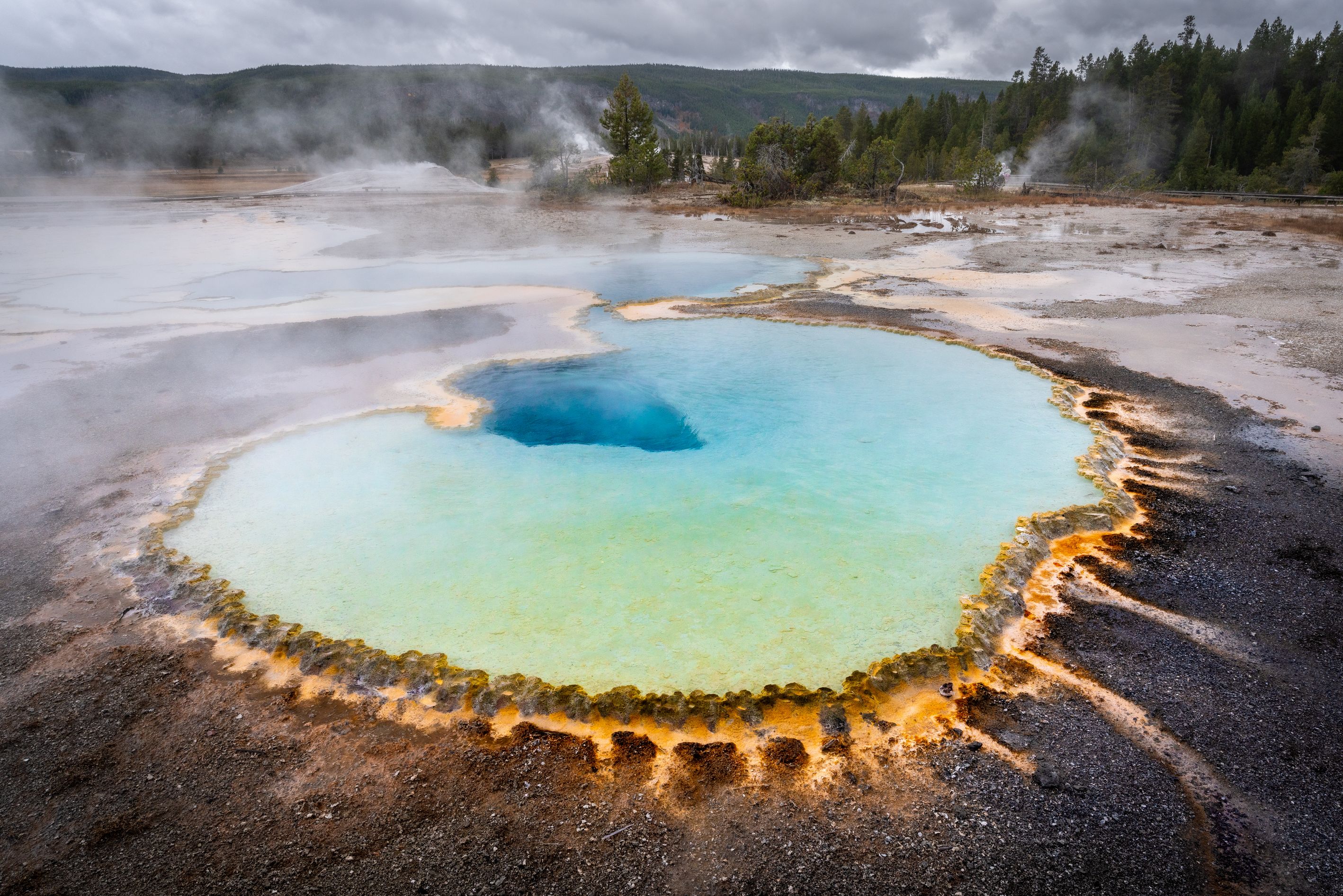 Sustainable Gardening Practices: Useful Eco-Friendly Tips