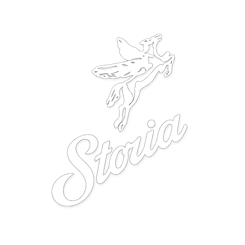 Storia logo