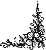 Border Corner