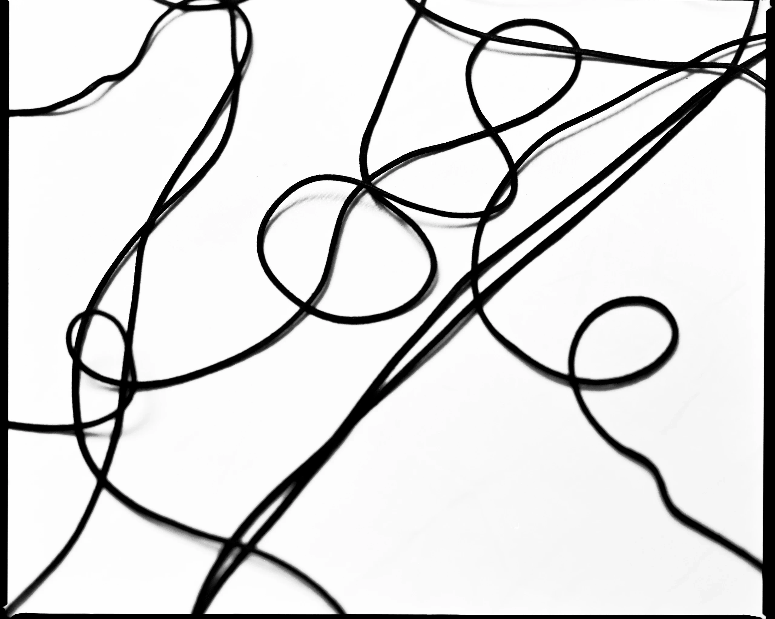 Musty, video production by ANY & ALL STUDIOS, image 7 of 7