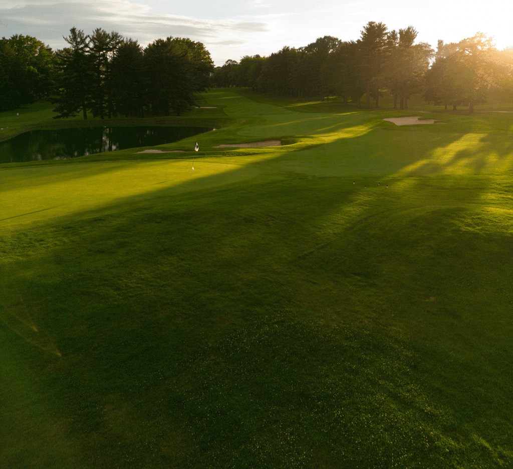 golfplatz Green