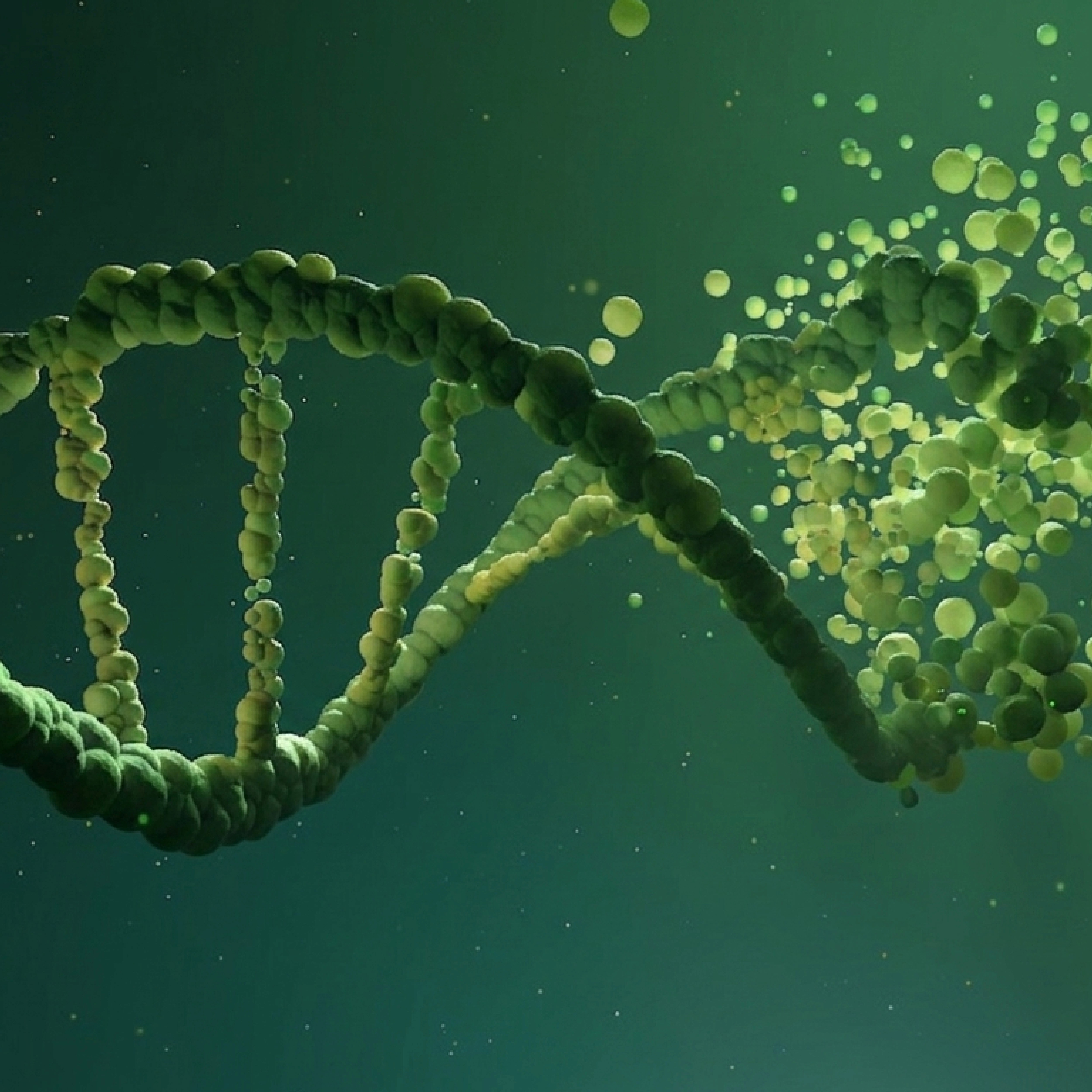Kapitel 1: Epigenetik verstehen