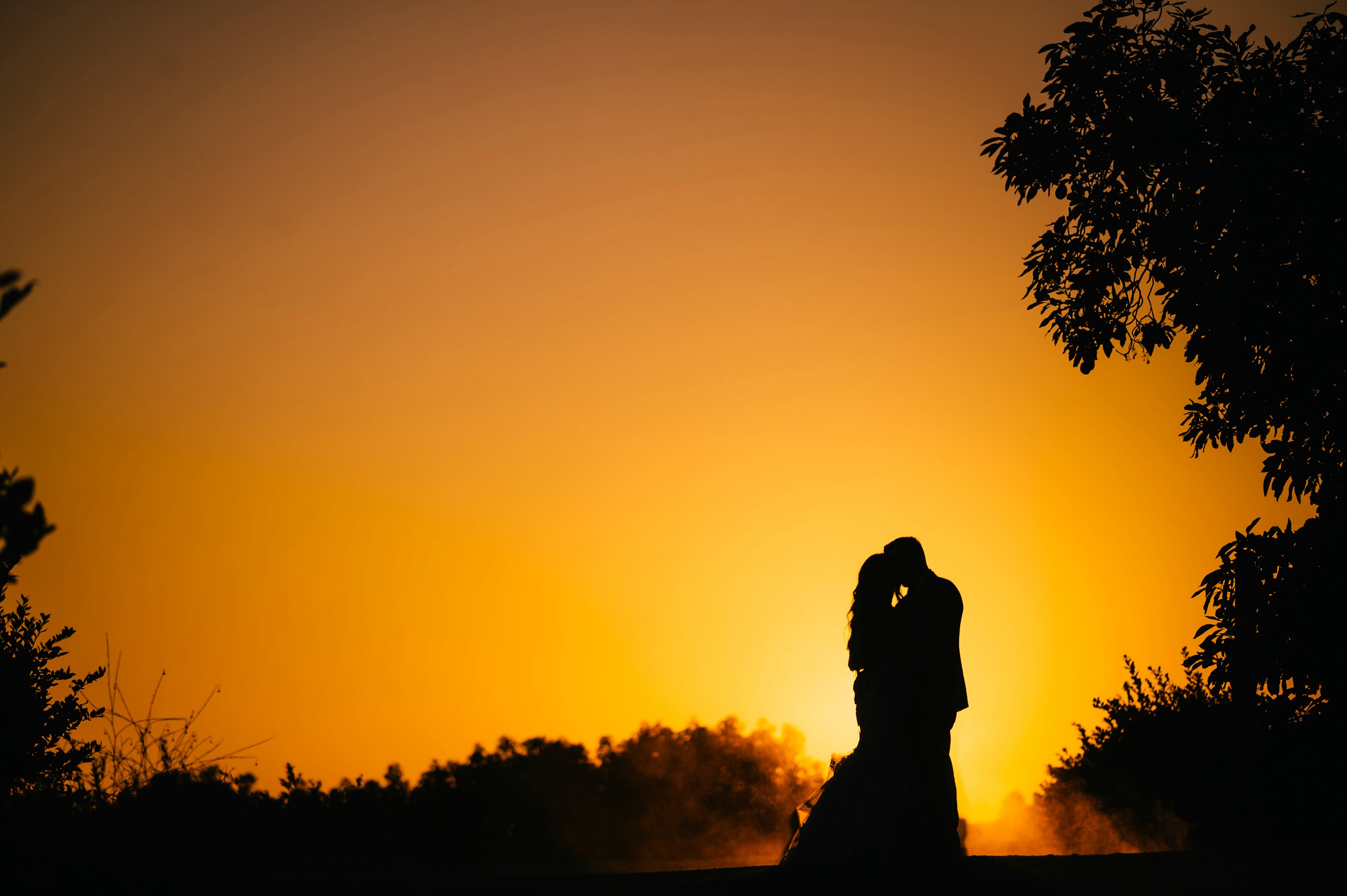 Golden hour silhouette photo with dust kicked up on farmland path at Gerry Ranch
