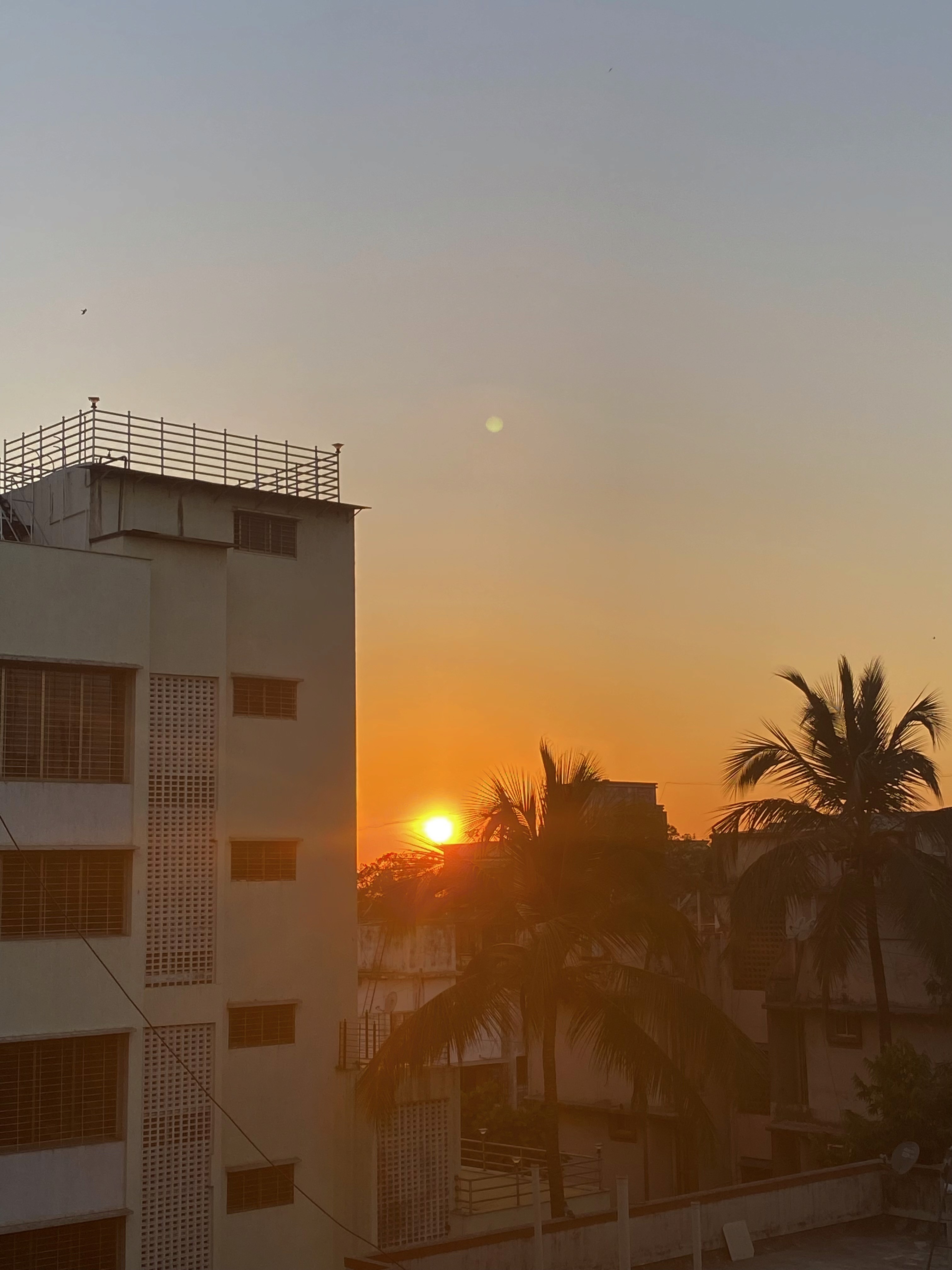 A close-up of a hand wearing multiple decorative rings against a blue background.