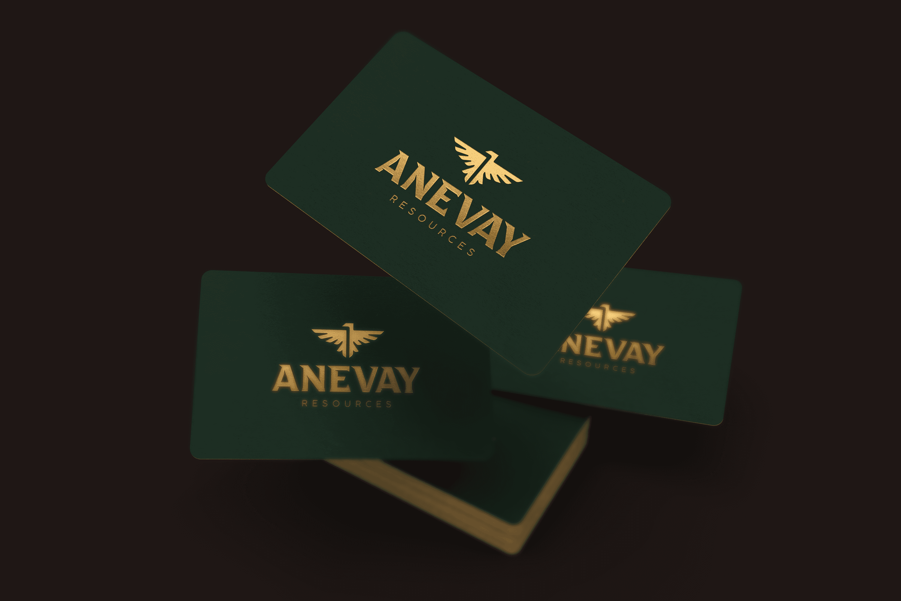 Anevay Resources - Business Cards