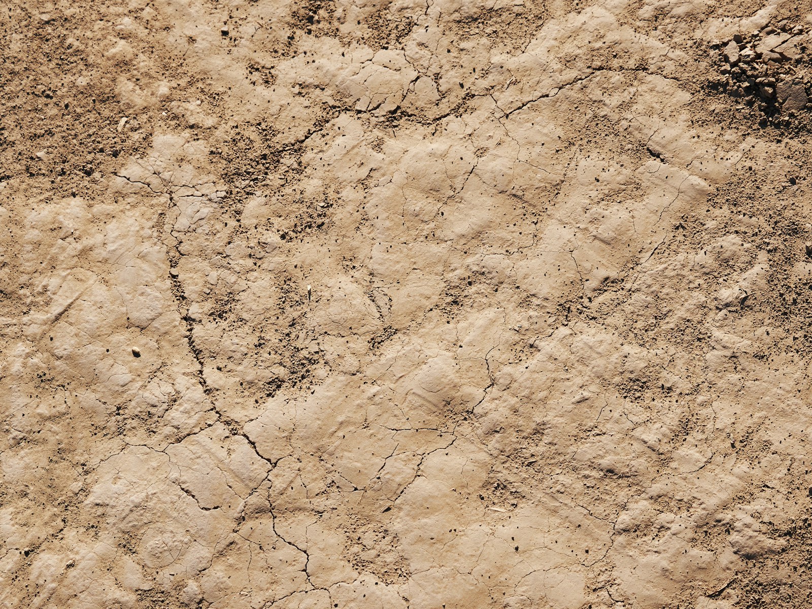 Cut travertine showing its open bedding texture