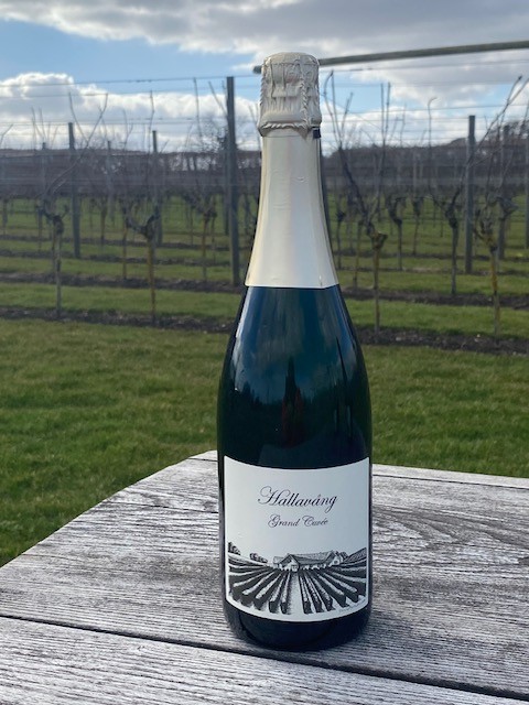 Elara wine pairings: reds for meats, whites for seafood, elevating meals