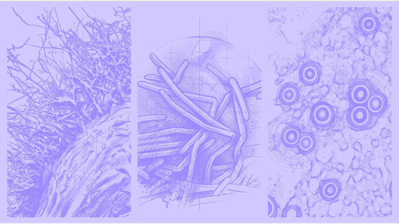 Scientific visualization of the respiratory tripledemic viruses targeted by MDL-001