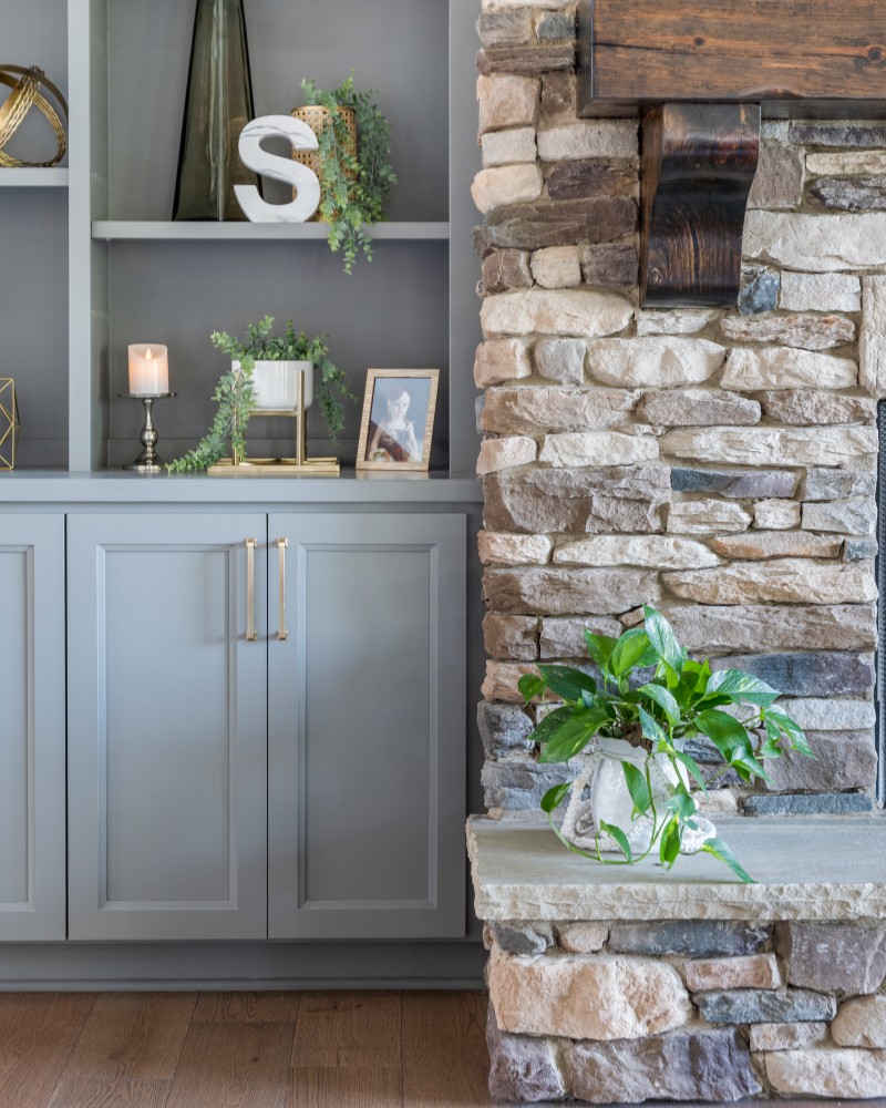 Close-up of a tree stump showing growth rings and a textured brown wood surface.