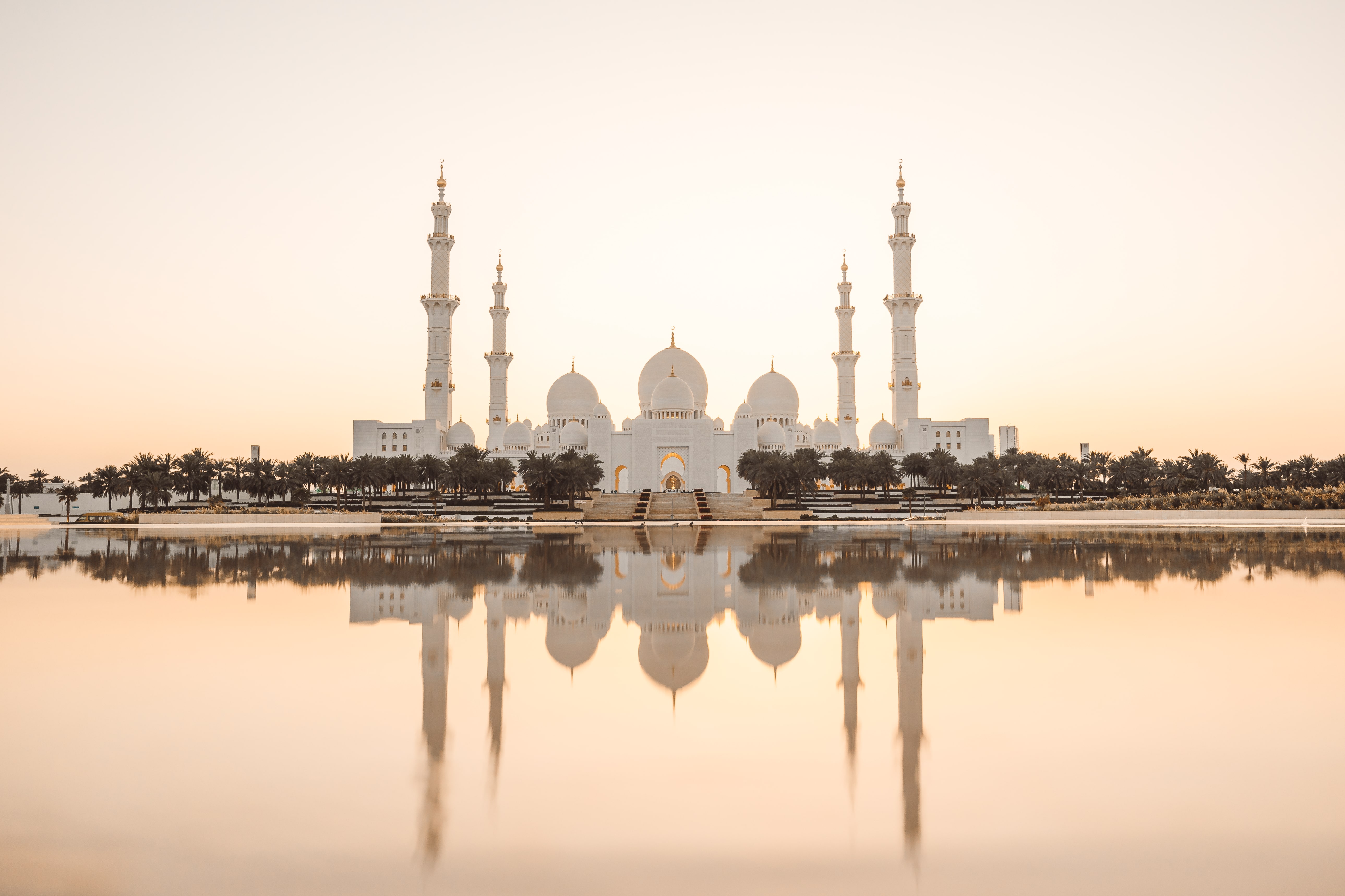 Rear view of black car