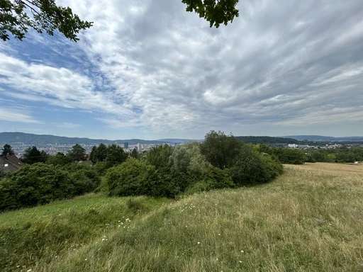 people sitting on chair in front of laptop computers