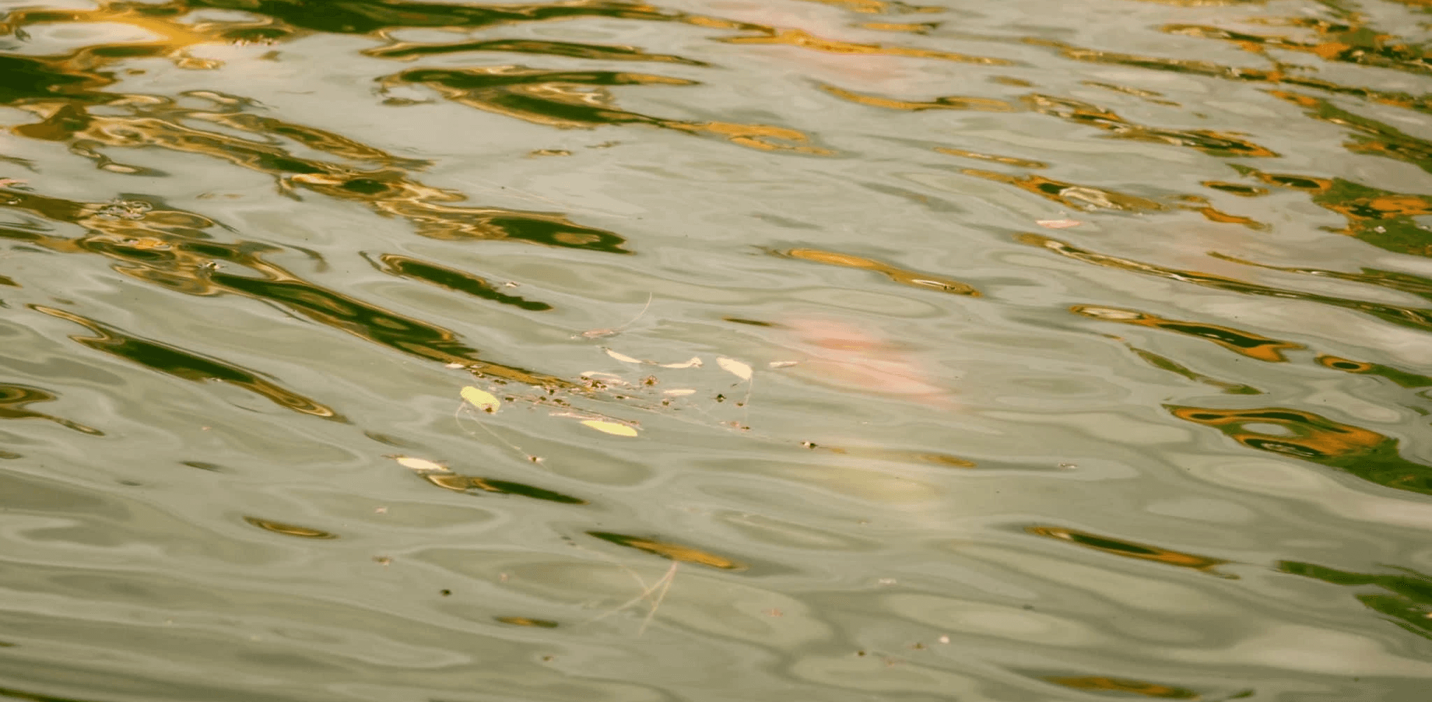 Women On Neon Background