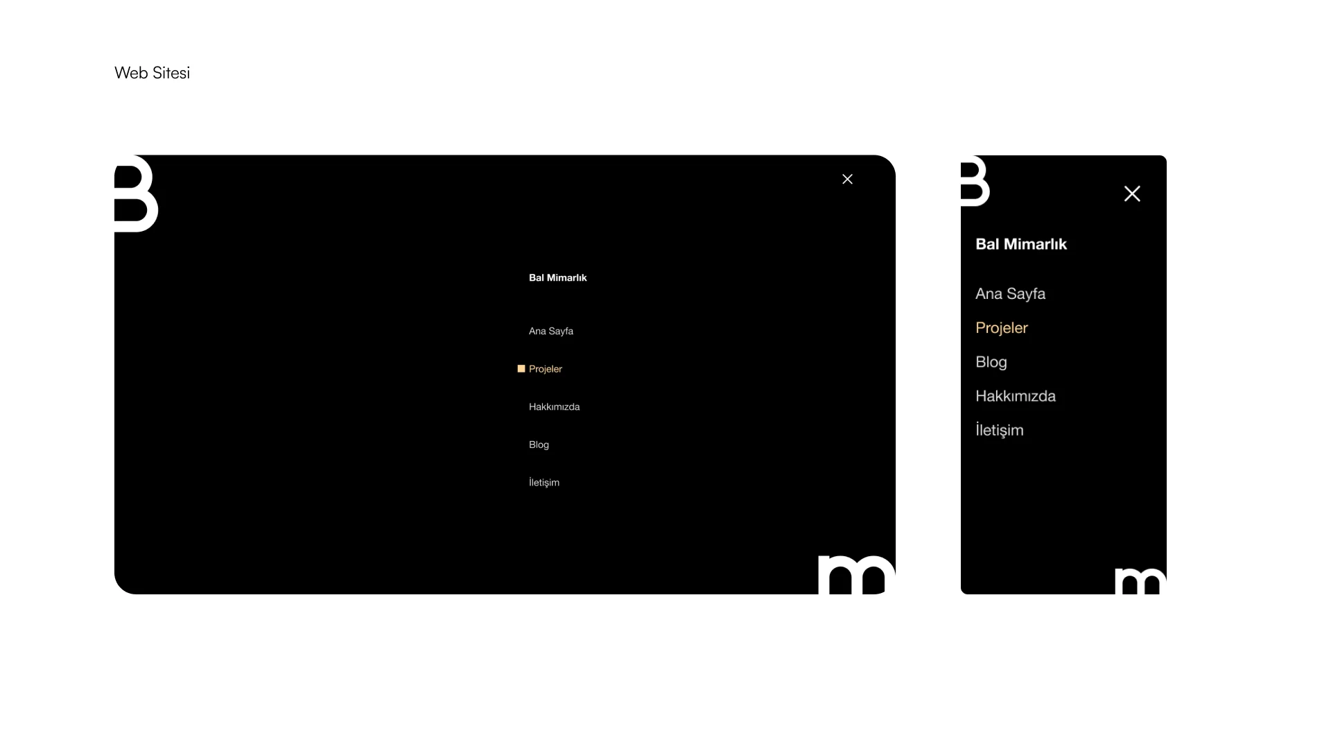 Website showcase 1