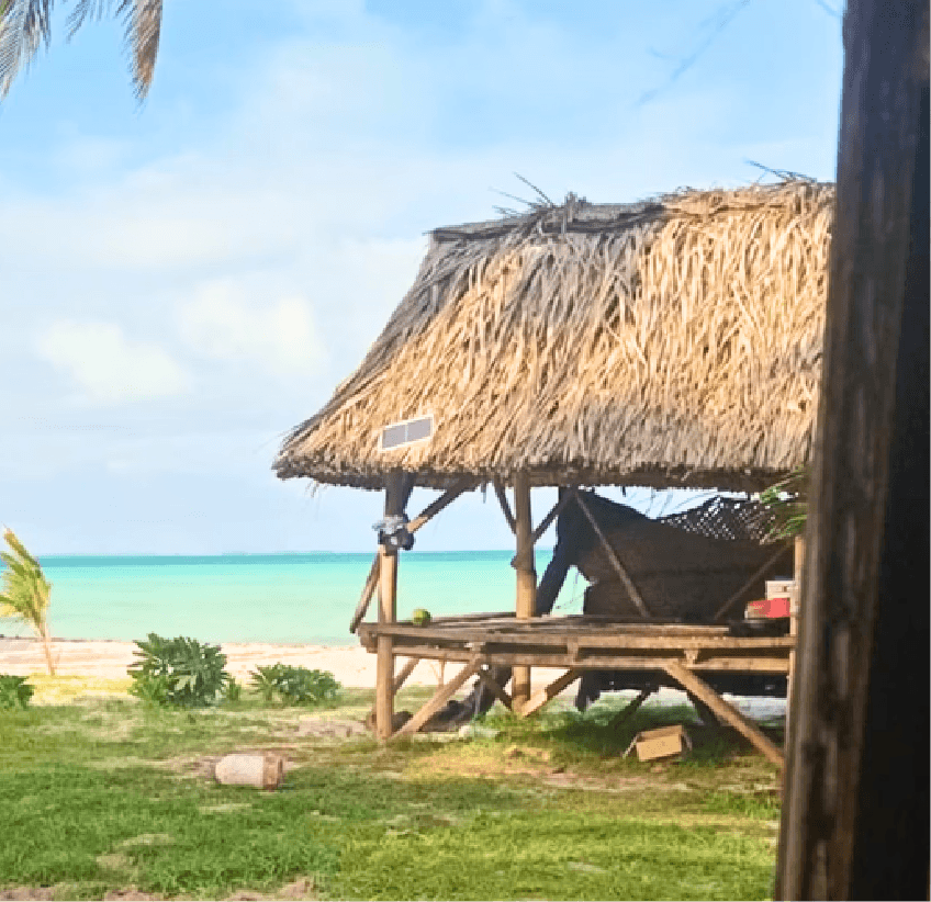 Looking up at a grand domed ceiling with columns