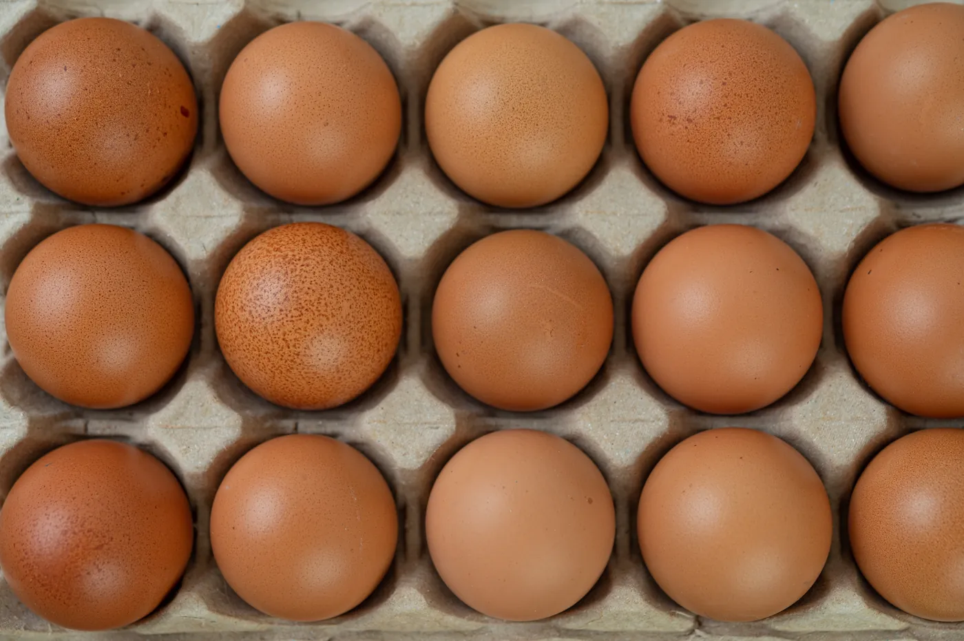 Œufs bio français de poules élevées en plein air