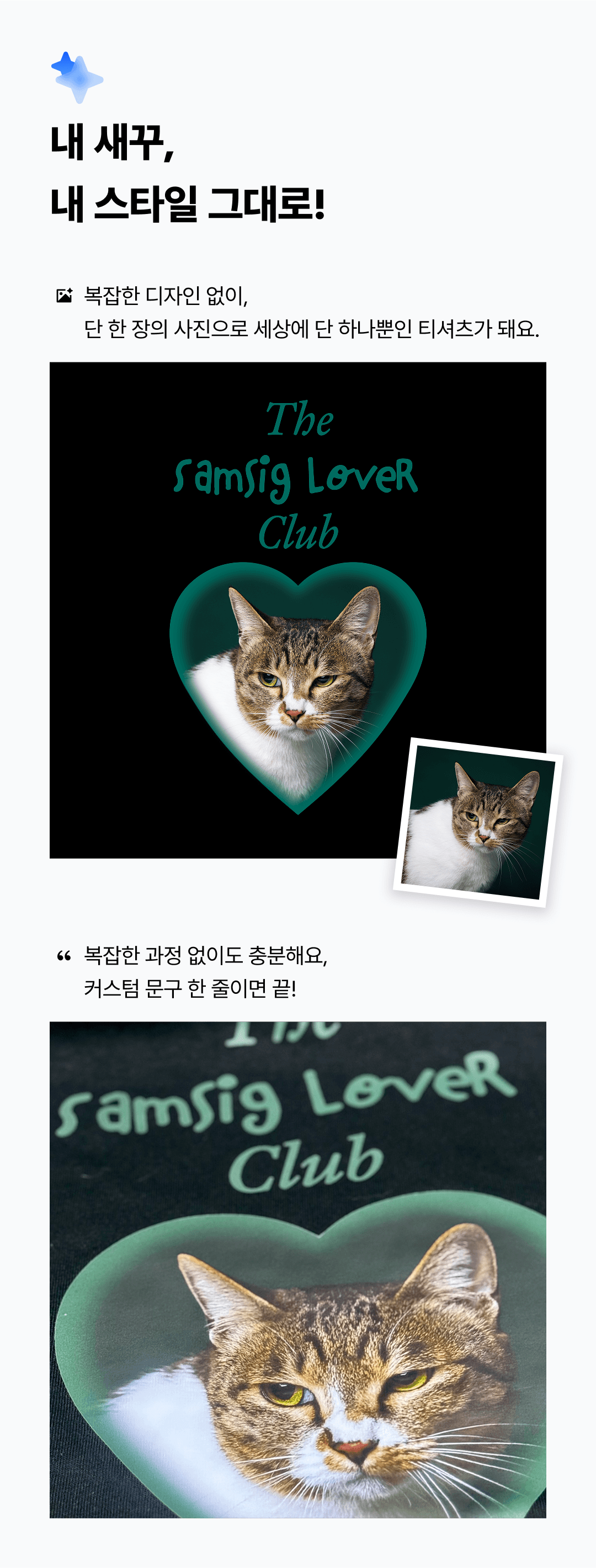 detail info 06.png