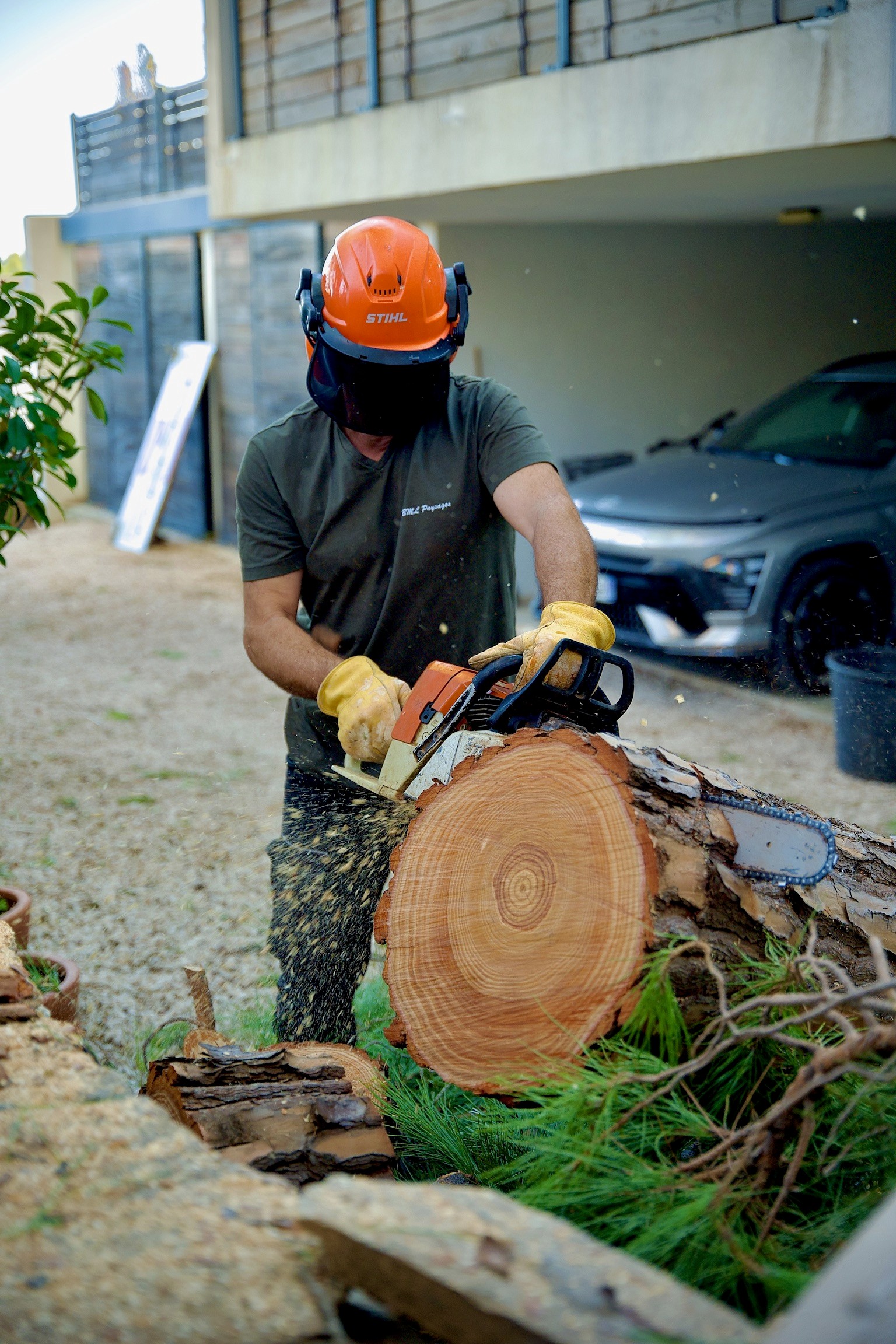 Travaux d’élagage et découpe d’arbre à Hyères par paysagiste professionnel