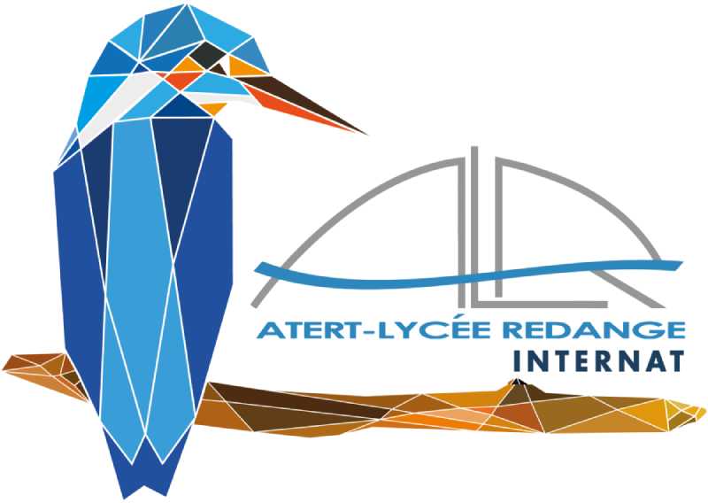 ALR Internat Logo