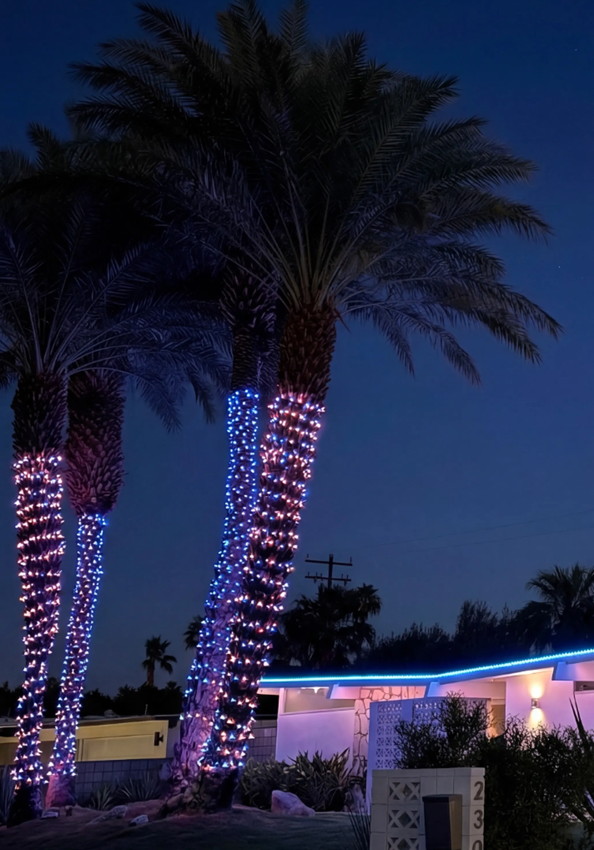 palm springs lights