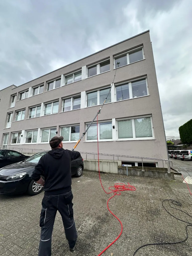 Professionelle Reinigung im Eingangsbereich