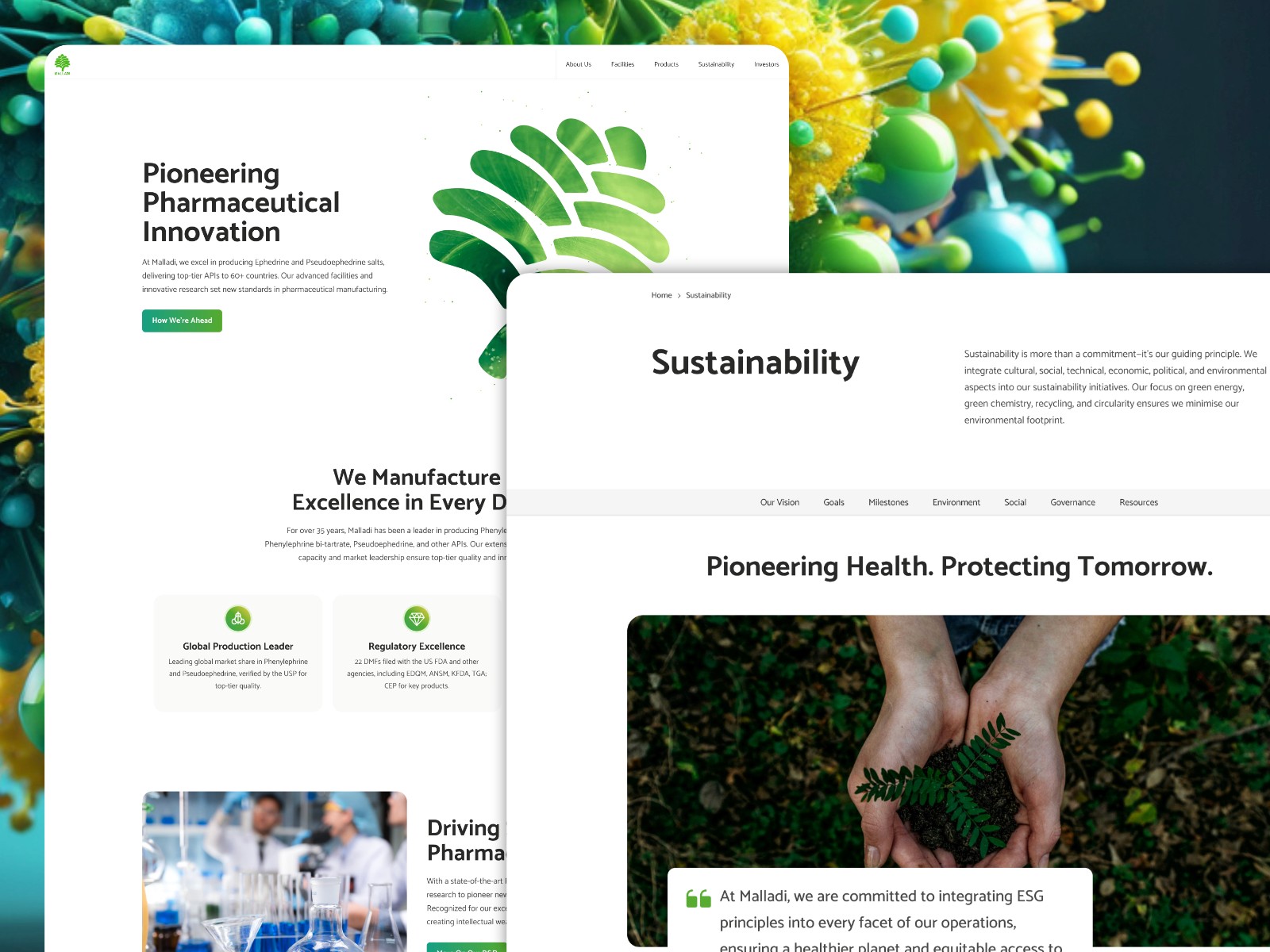 Screenshot of the Malladi website displaying a few UI and UX components to showcase the design approach.
