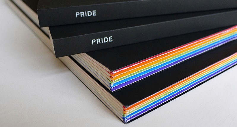 pride paper book