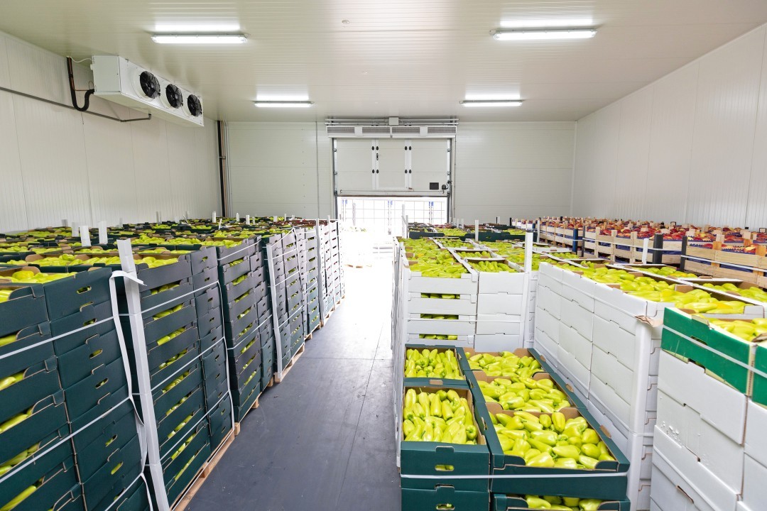 photo of the all-white interior of a refrigerated container loaded with boxes of fruit and with the door open...