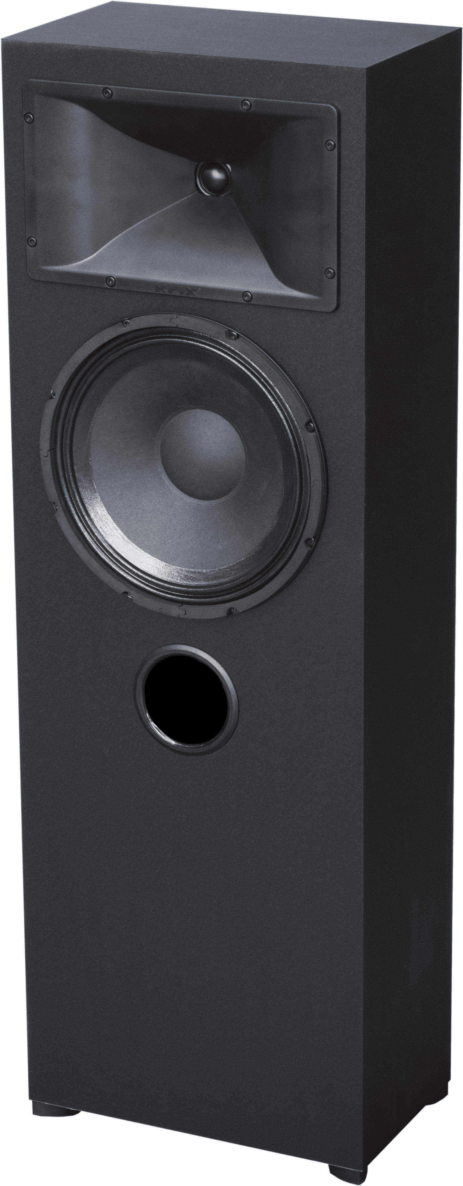 Black floorstanding speaker with horn tweeter and woofer.