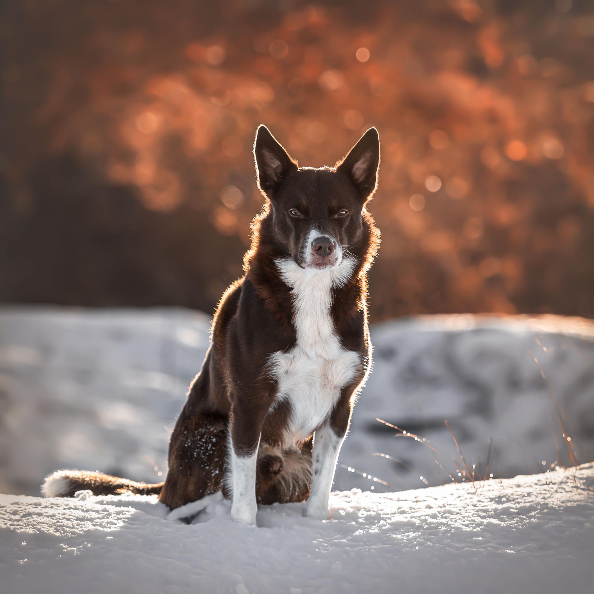 A smiling woman with her arms crossed, standing against a dark green background. She has long, dark hair.
