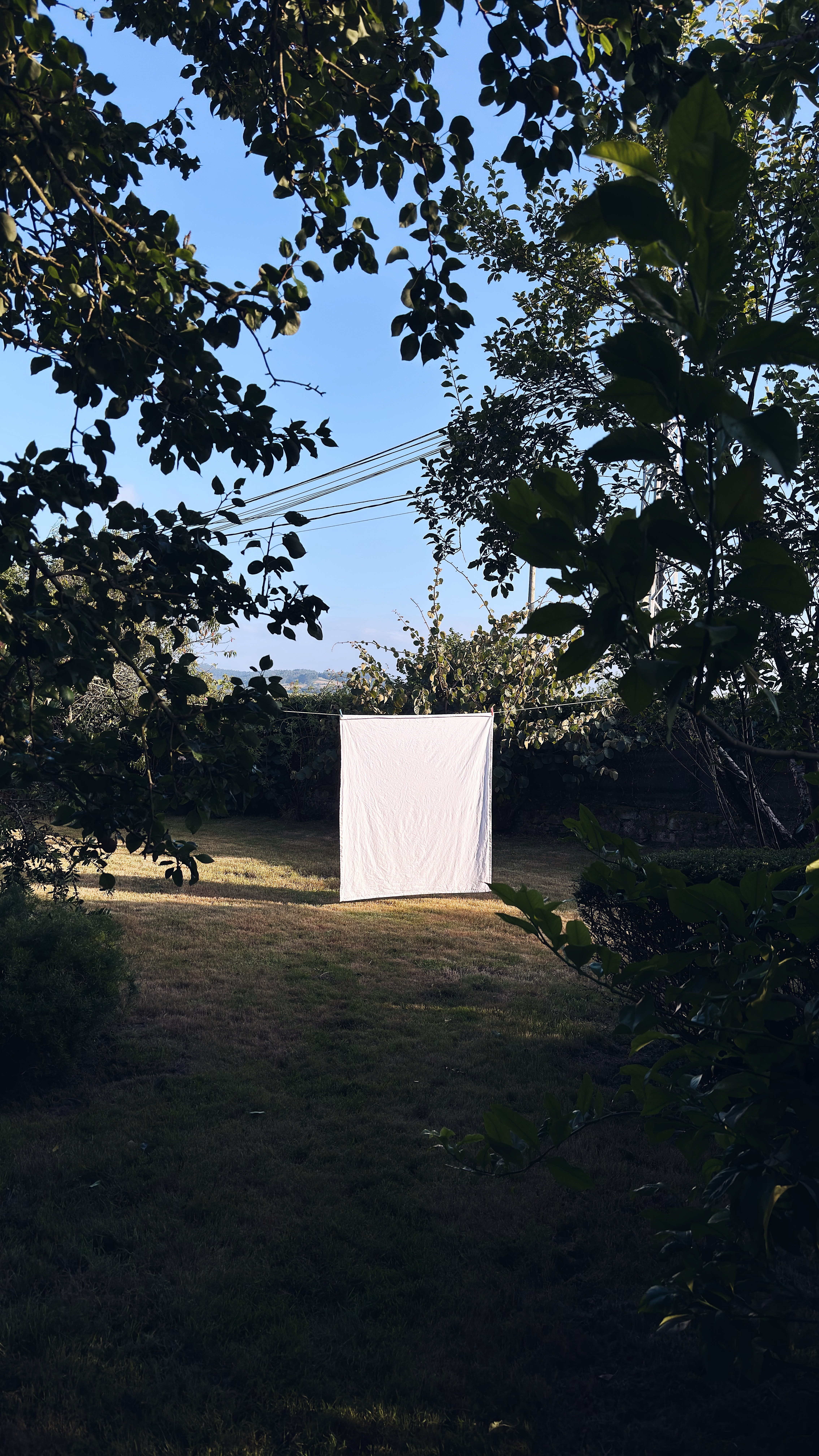 Imagen tendal aire al aire libre con una sábana blanca