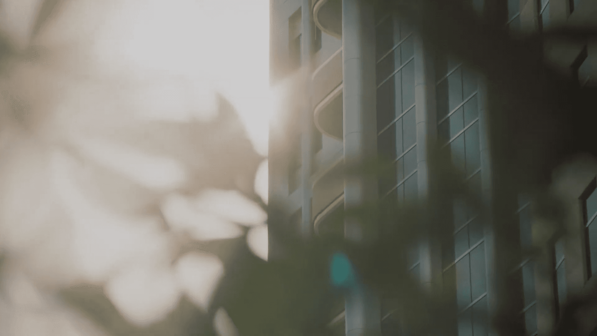 Black women’s shoes against a maroon carpet background.