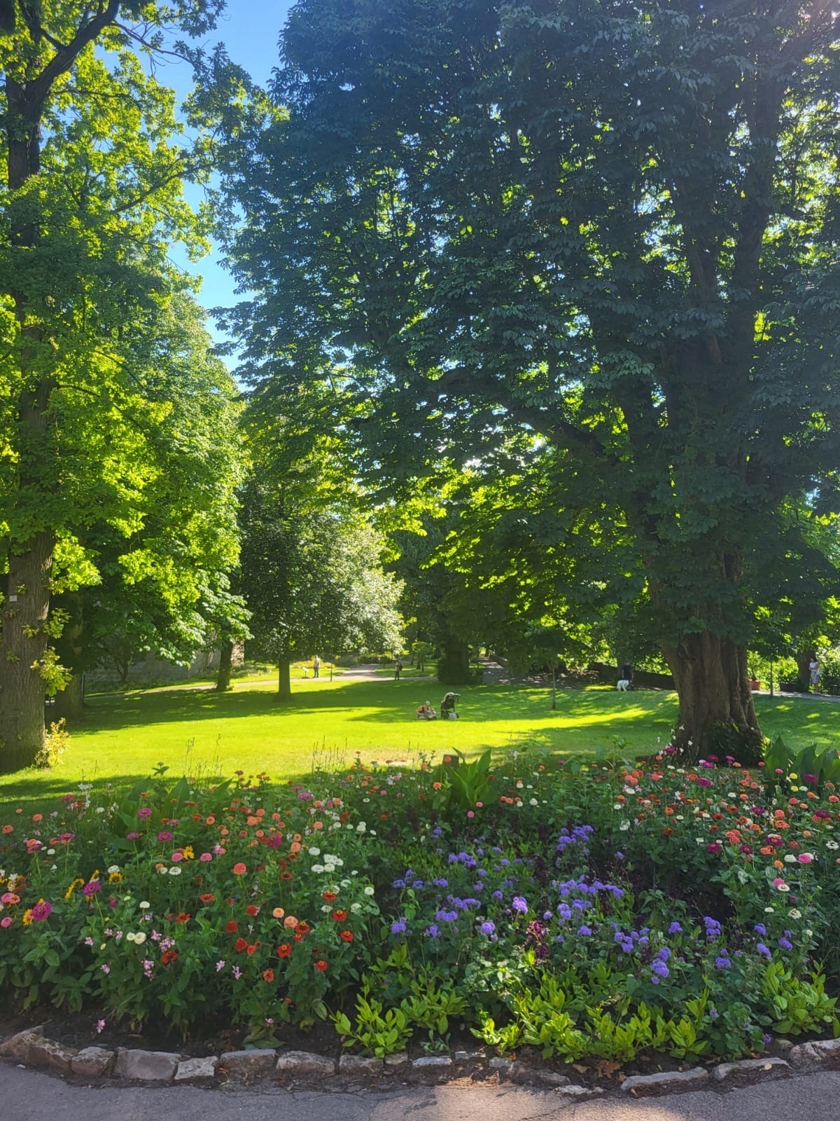 Blumenpracht im Burggarten