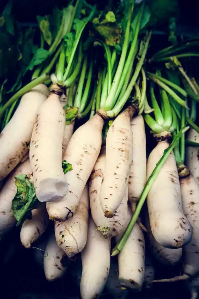 is radish good for diabetes